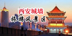 com逼逼中国陕西-西安城墙旅游风景区